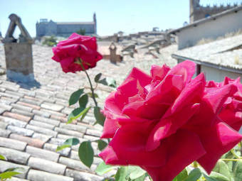 B&B Orvieto In Terrazza