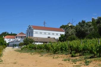 Agroturismo Quinta Do Piloto