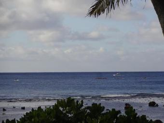 Coral Beach Bungalows