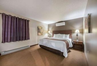 Hotel Quality Inn & Suites