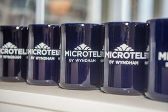 Hotel Microtel Inn & Suites By Wyndham Carlisle