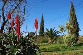 Hostal Quinta Do Rio Country Inn