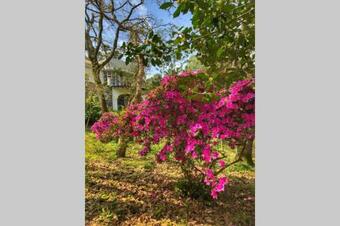 Apartamento Quinta Biológica, Com Vista, Na Serra De Sintra