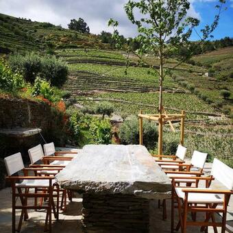 Villa Quinta Das Fontainhas - Douro Valley