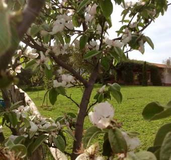 B&B At Home In Maremma