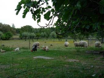 Agroturismo Quinta Paraiso