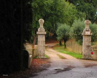 Agroturismo Quinta Do Cerquito